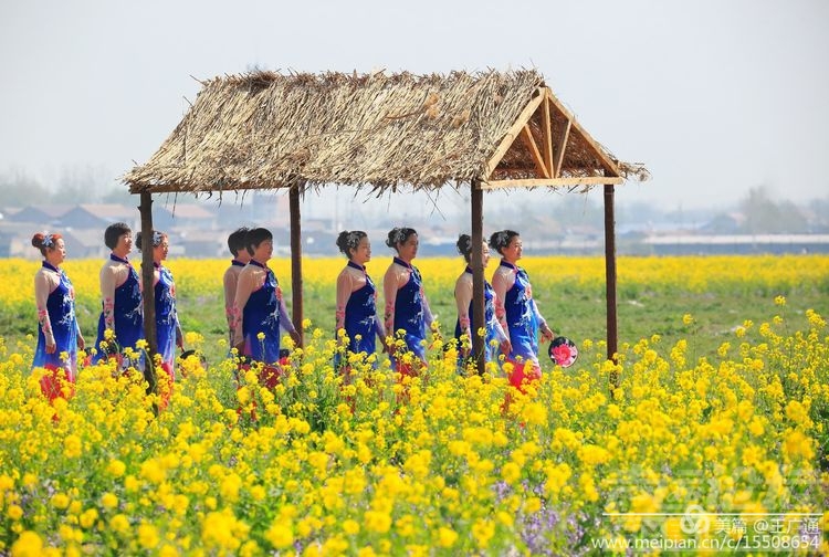 江北水乡处处油菜花田-70.jpg