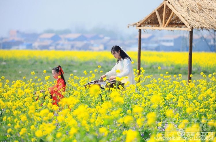 江北水乡处处油菜花田-68.jpg