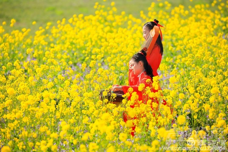 江北水乡处处油菜花田-71.jpg