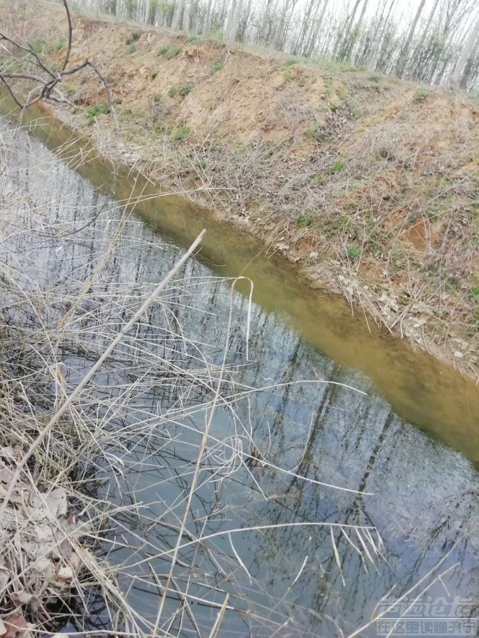 20200327_16765_1585294739985.jpg