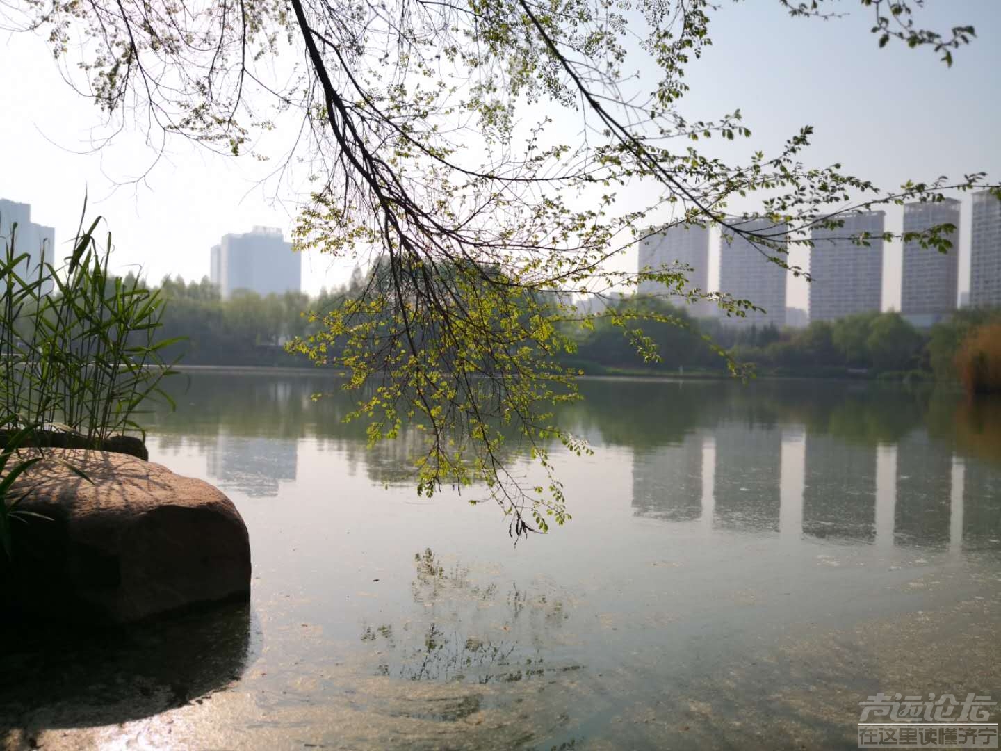 微信图片_20200415114948.jpg
