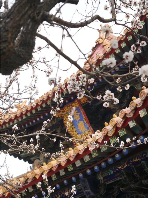 微信截图_20200422115140.png