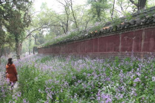 微信截图_20200422115148.png