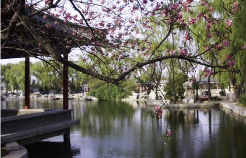 微信截图_20200422115203.png