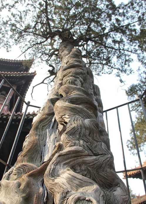 微信截图_20200422115226.png