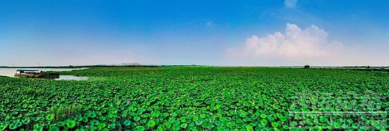 畅游济宁！济宁市文化和旅游局精心推出了四大主题的十条线路-3.jpeg