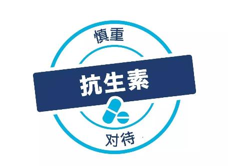 杂交构树：以树代粮 打造优质构香猪 助力健康财富双丰收！-1.jpg