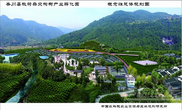 杂交构树：以树代粮 打造优质构香猪 助力健康财富双丰收！-3.jpg