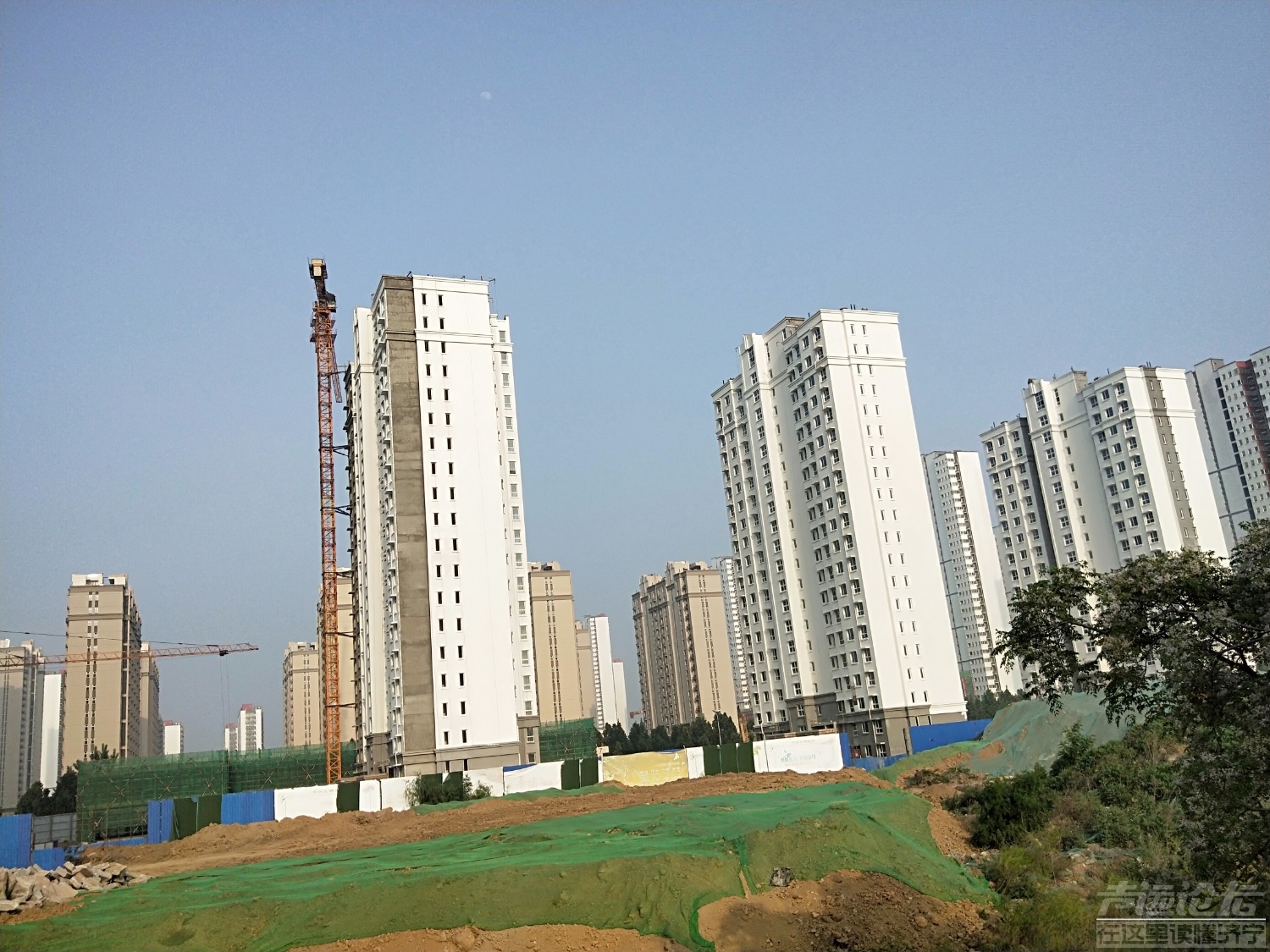 IMG20200503171134.jpg