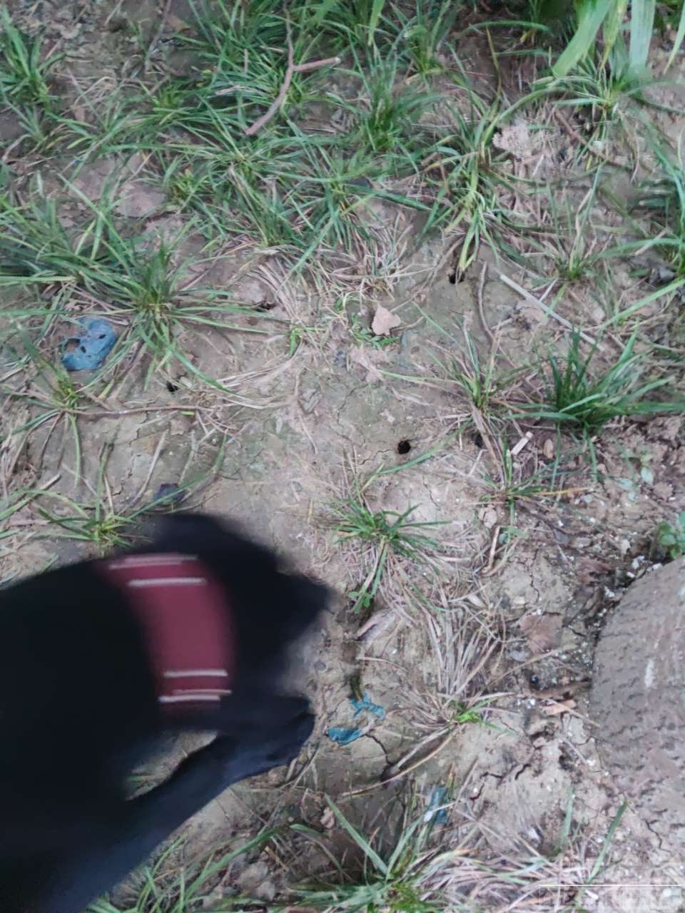 20200718_502872_1595071467467.jpg