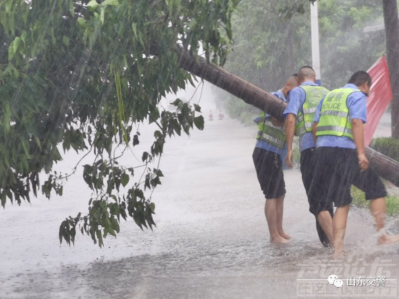 风雨中的“浇警”-17.jpg