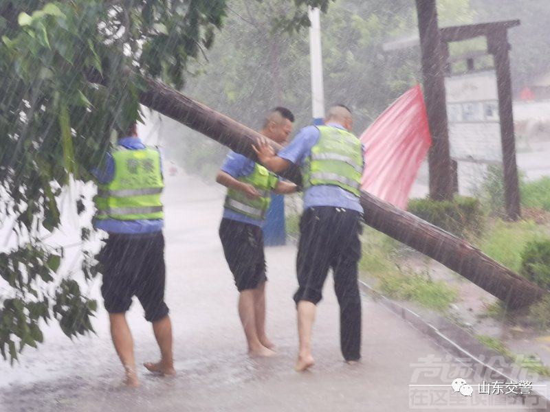 风雨中的“浇警”-19.jpg