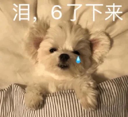 中雨、大雨！半月有13场雨！济宁新一轮连续降雨来了......-10.jpg