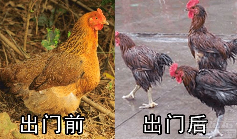 中雨、大雨！半月有13场雨！济宁新一轮连续降雨来了......-13.jpg