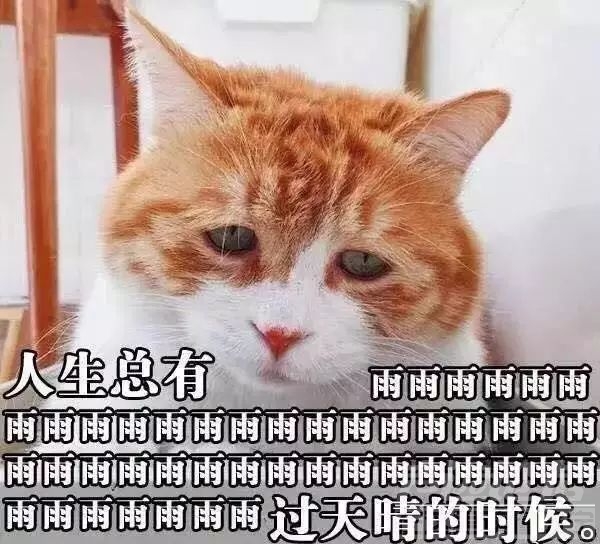中雨、大雨！半月有13场雨！济宁新一轮连续降雨来了......-14.jpg