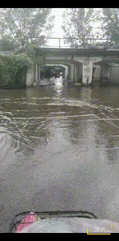 济宁，水很深！不信恁看-3.gif
