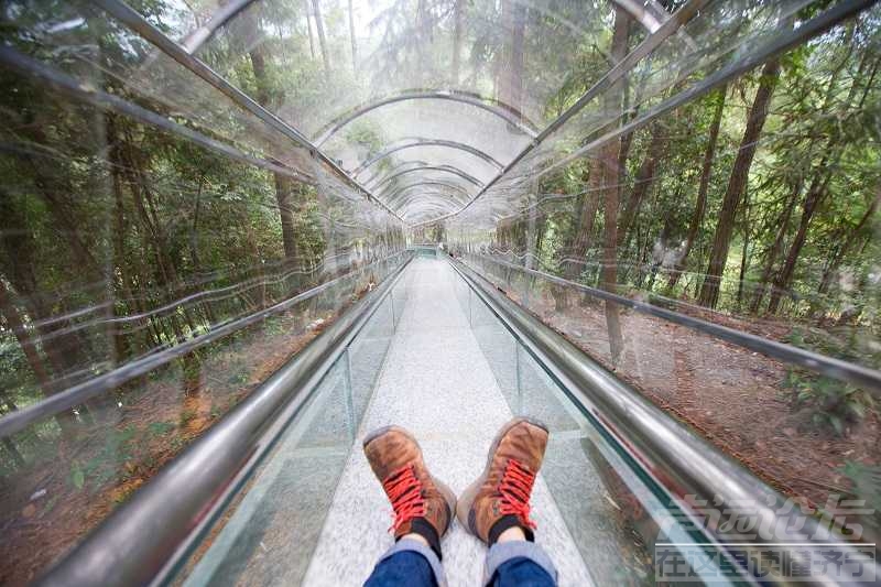 门票直降85% 重庆武隆这个丛林探险胜地绝对值得你冒险！-7.jpg
