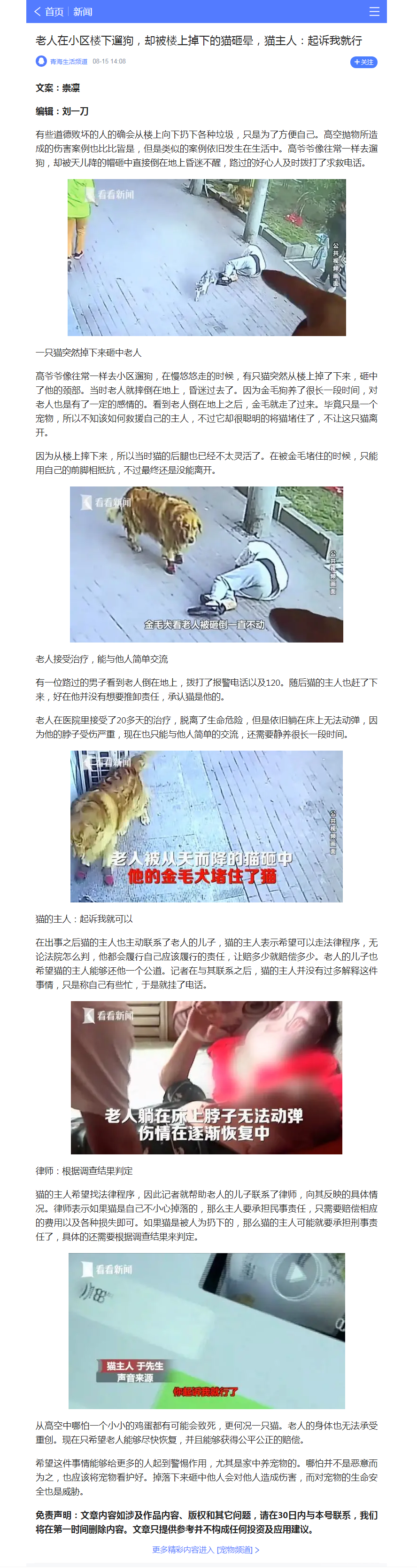 老人在小区楼下遛狗，却被楼上掉下的猫砸晕，猫主人：起诉我就行.png