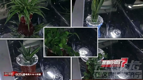 微信图片_20200821131556.jpg