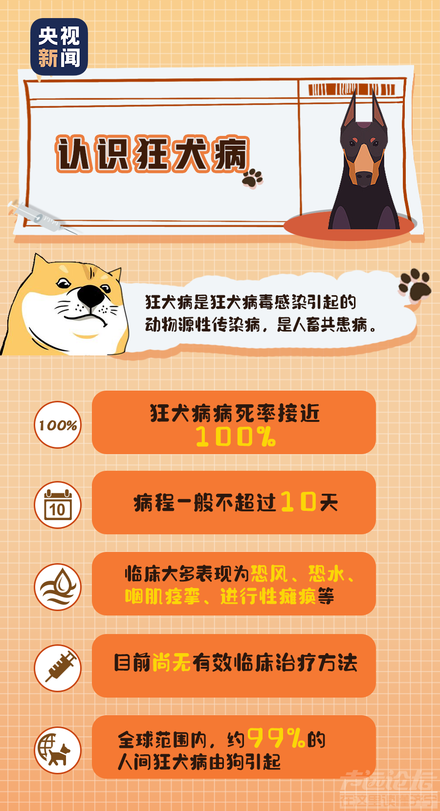 关于狂犬病的这些真相，你或许还未了解……-1.png