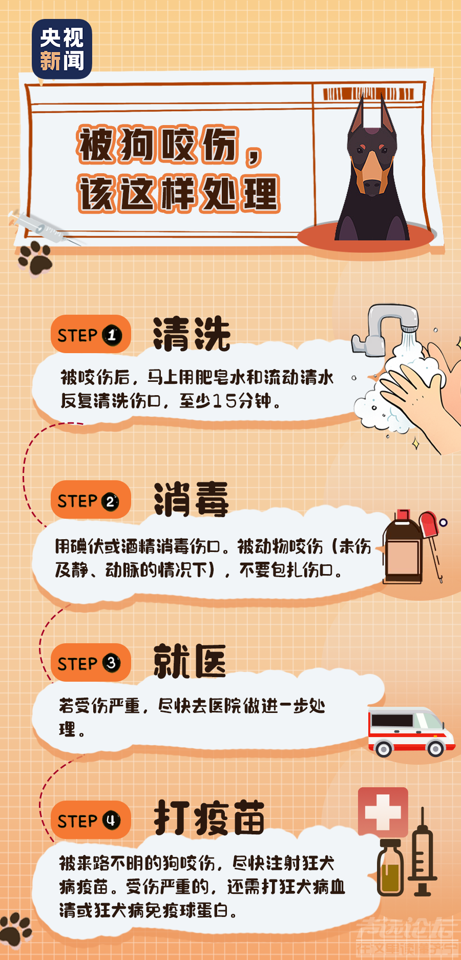 关于狂犬病的这些真相，你或许还未了解……-4.png