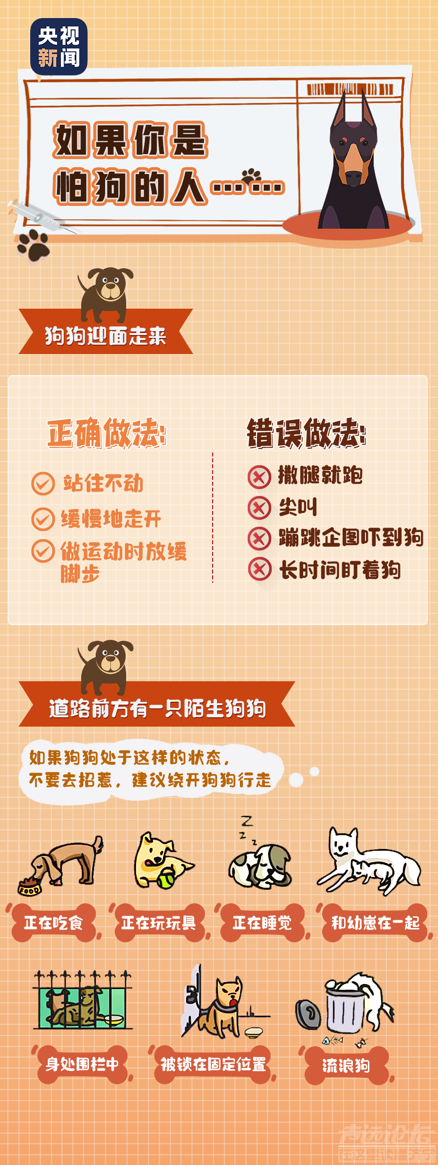 关于狂犬病的这些真相，你或许还未了解……-7.png