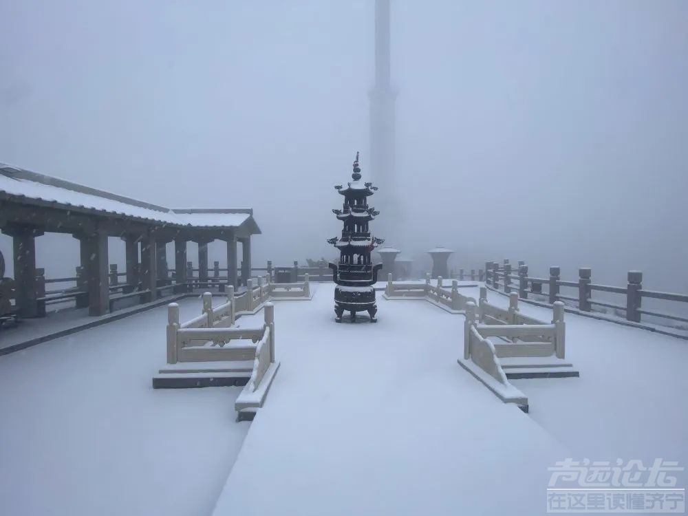 山东多地迎来今冬第一场雪！济宁的雪.....-8.jpg