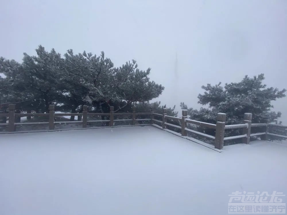 山东多地迎来今冬第一场雪！济宁的雪.....-9.jpg