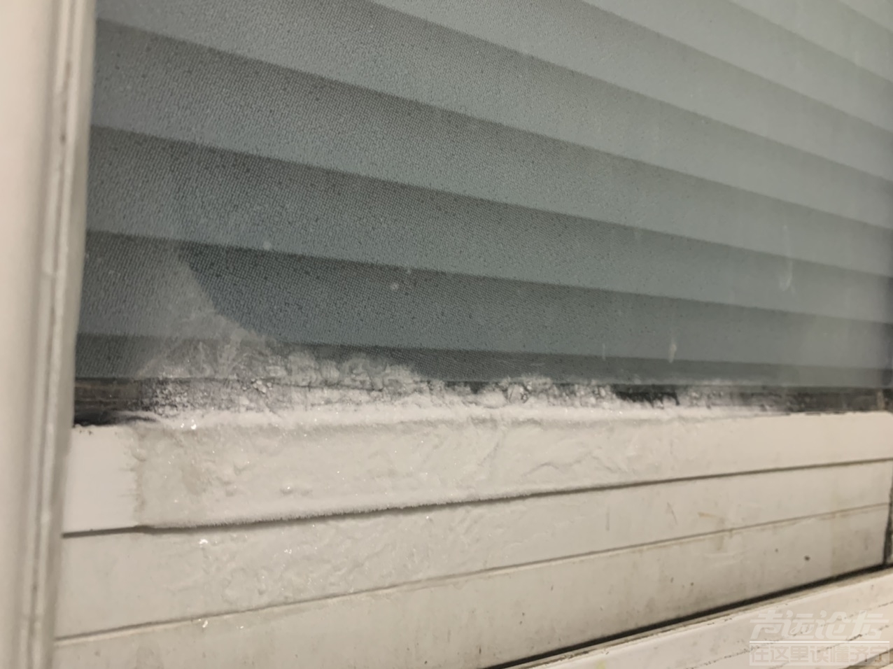 front1_0_FvcSPUF6EyRaFKLnzFKuBp3lUgHO.1609982849.jpg