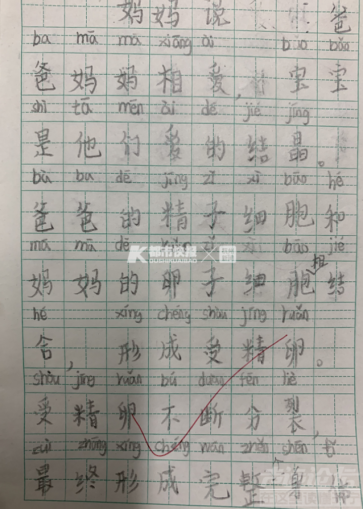 “我是从哪里来的？”一群二年级学生和爸妈聊了聊，答案让人想笑又想哭！-6.png
