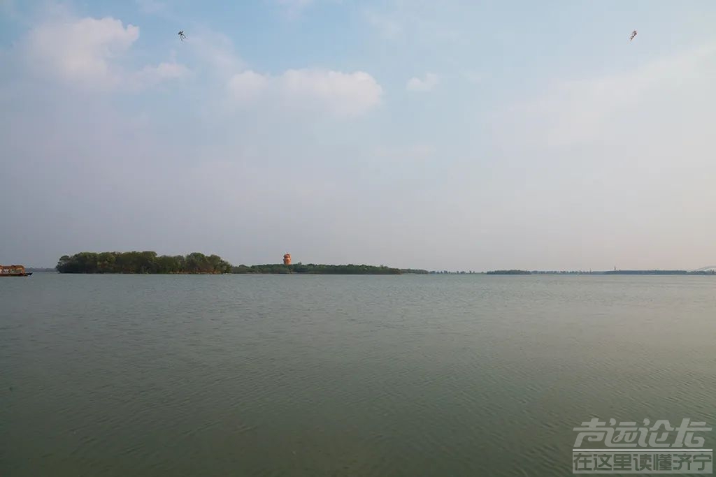 快看，济宁小北湖里面拍到的一幕！-7.jpg