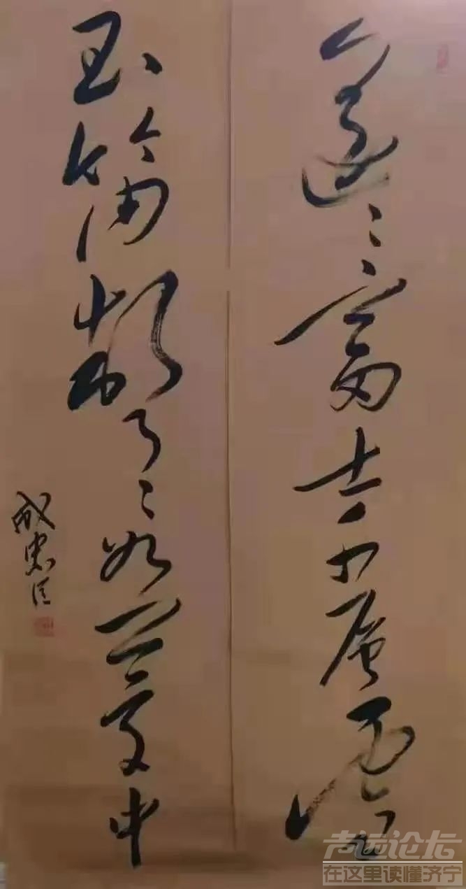 成忠臣:中国画只有遥接古风，强调书画双修，才能成大道！-14.jpg