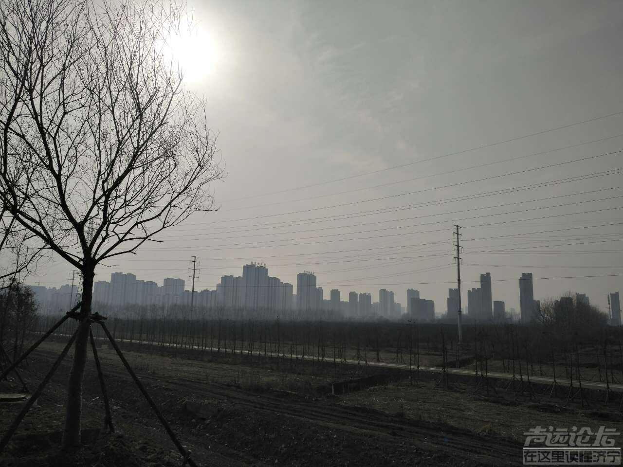 洸府河的春天-6.jpg