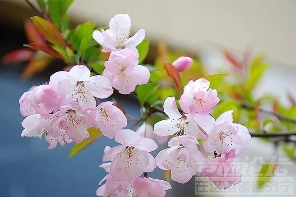 升升升！济宁本周最高温将飙至20℃-2.jpg