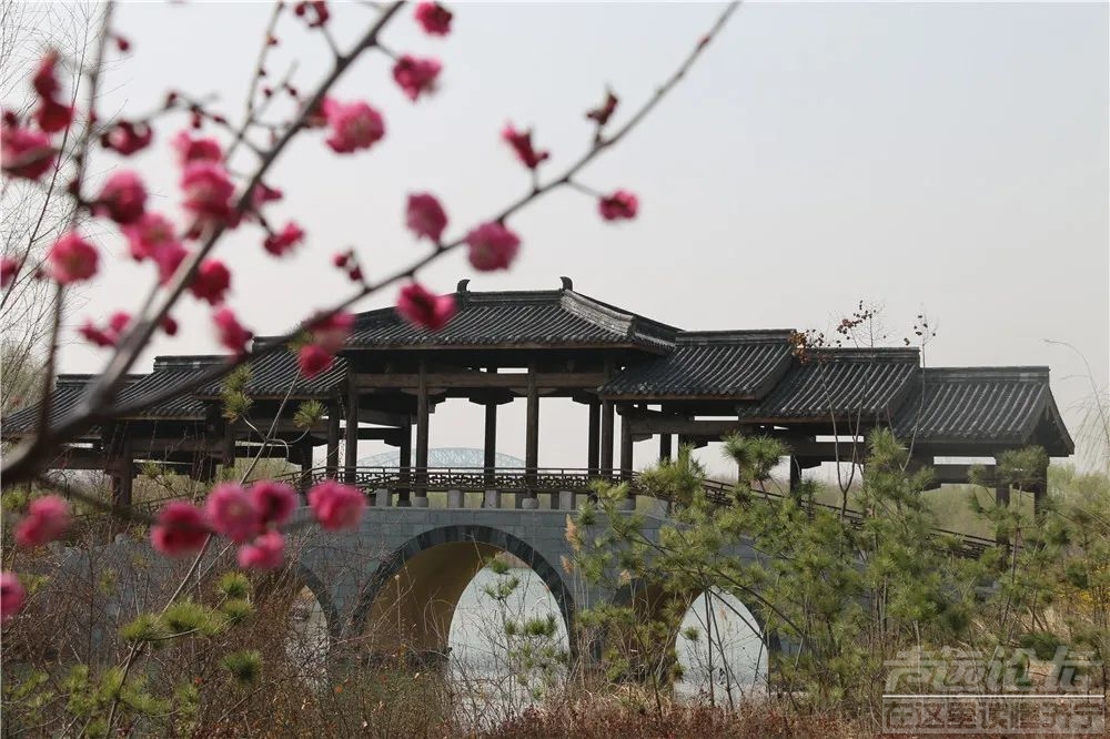 升升升！济宁本周最高温将飙至20℃-4.jpg