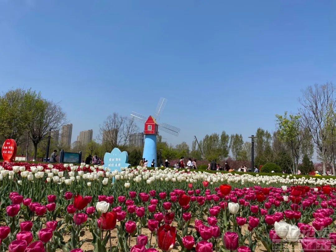 升升升！济宁本周最高温将飙至20℃-5.jpg