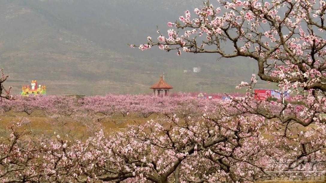 济宁首个真山水互动情景剧落户泗水圣地桃源景区-1.jpeg