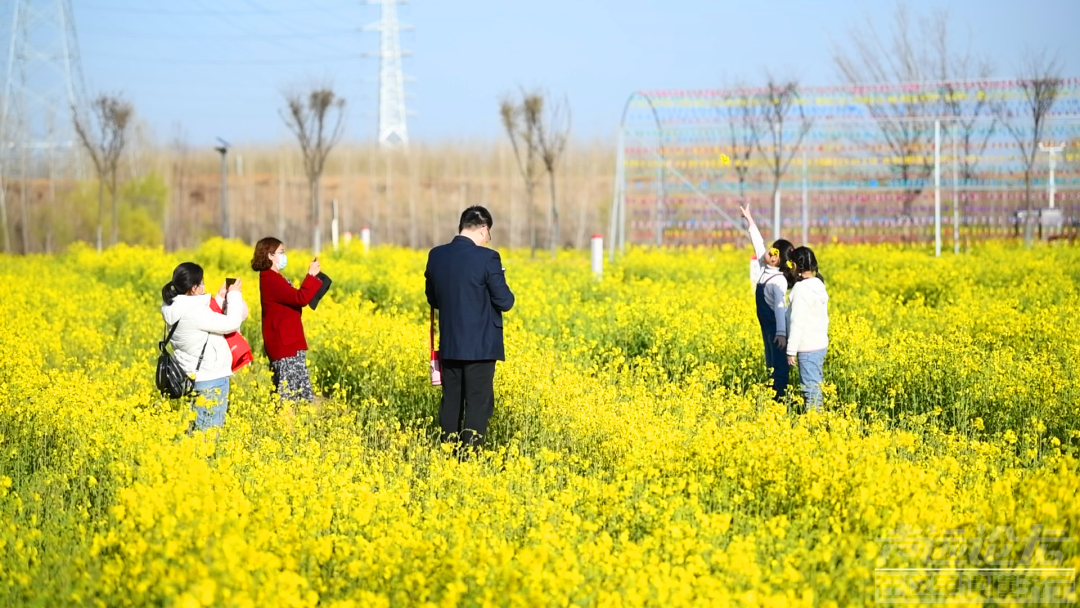 美图暴击！济宁这片油菜花海藏不住了-10.jpg