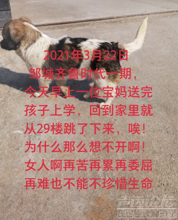 微信截图_20210323140208.png