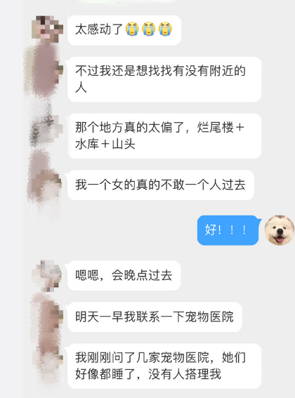 残忍！济宁街头发生虐狗事件！警方介入-3.jpg