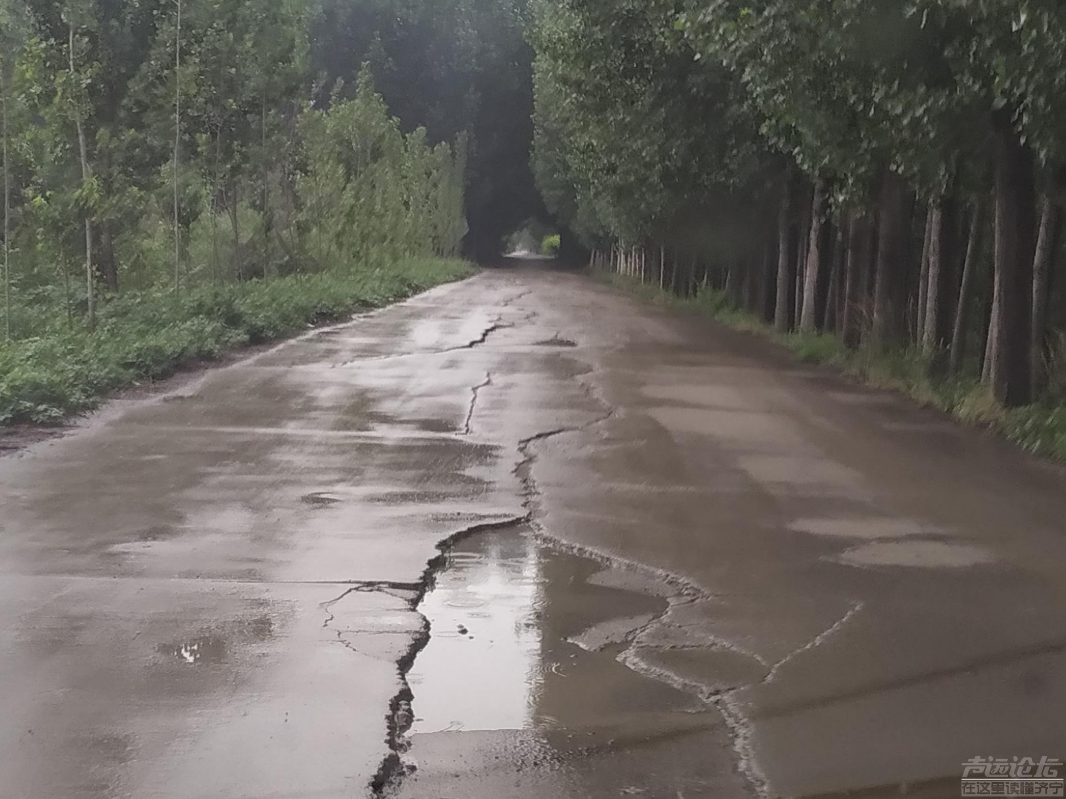 凤凰台村东的路何时维修，去往城区的道路，长度大约200米，年久失修，路面坑洼不平！-2.jpg