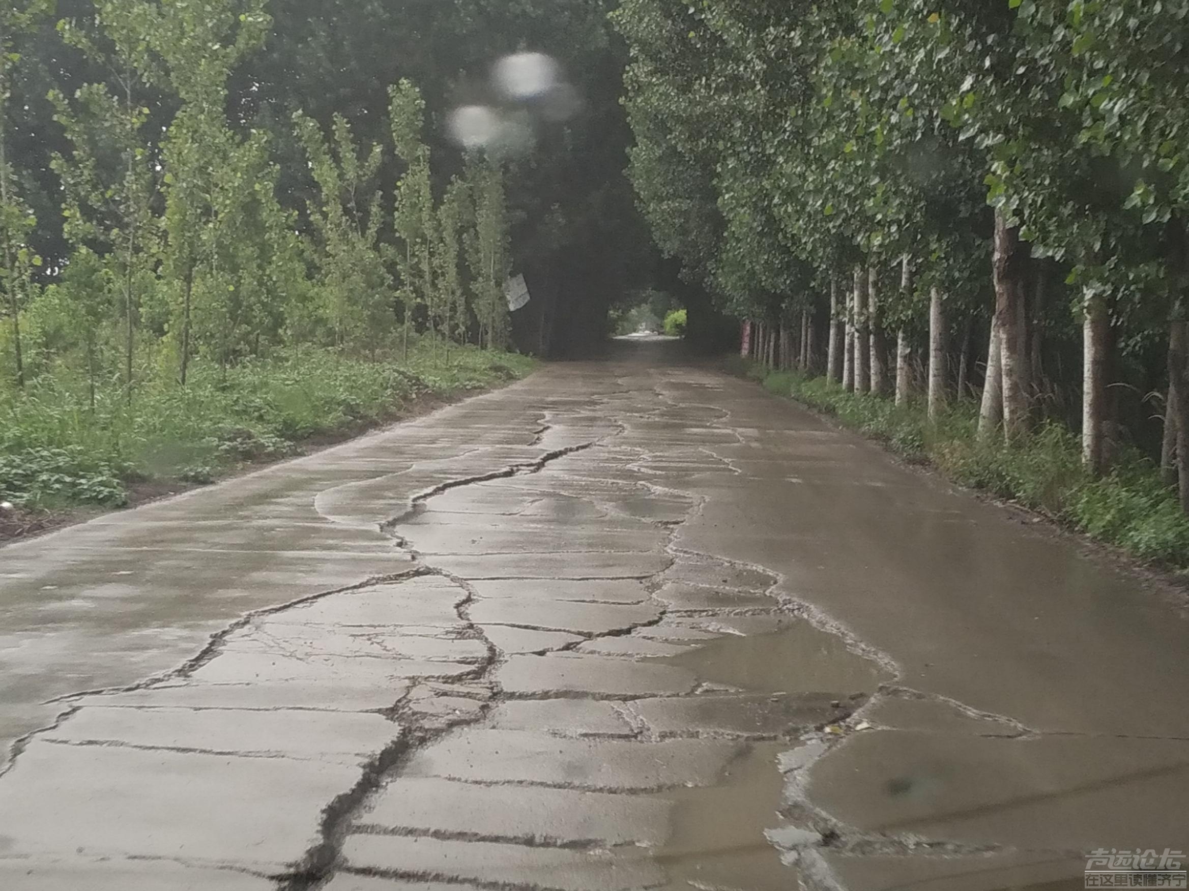 凤凰台村东的路何时维修，去往城区的道路，长度大约200米，年久失修，路面坑洼不平！-3.jpg