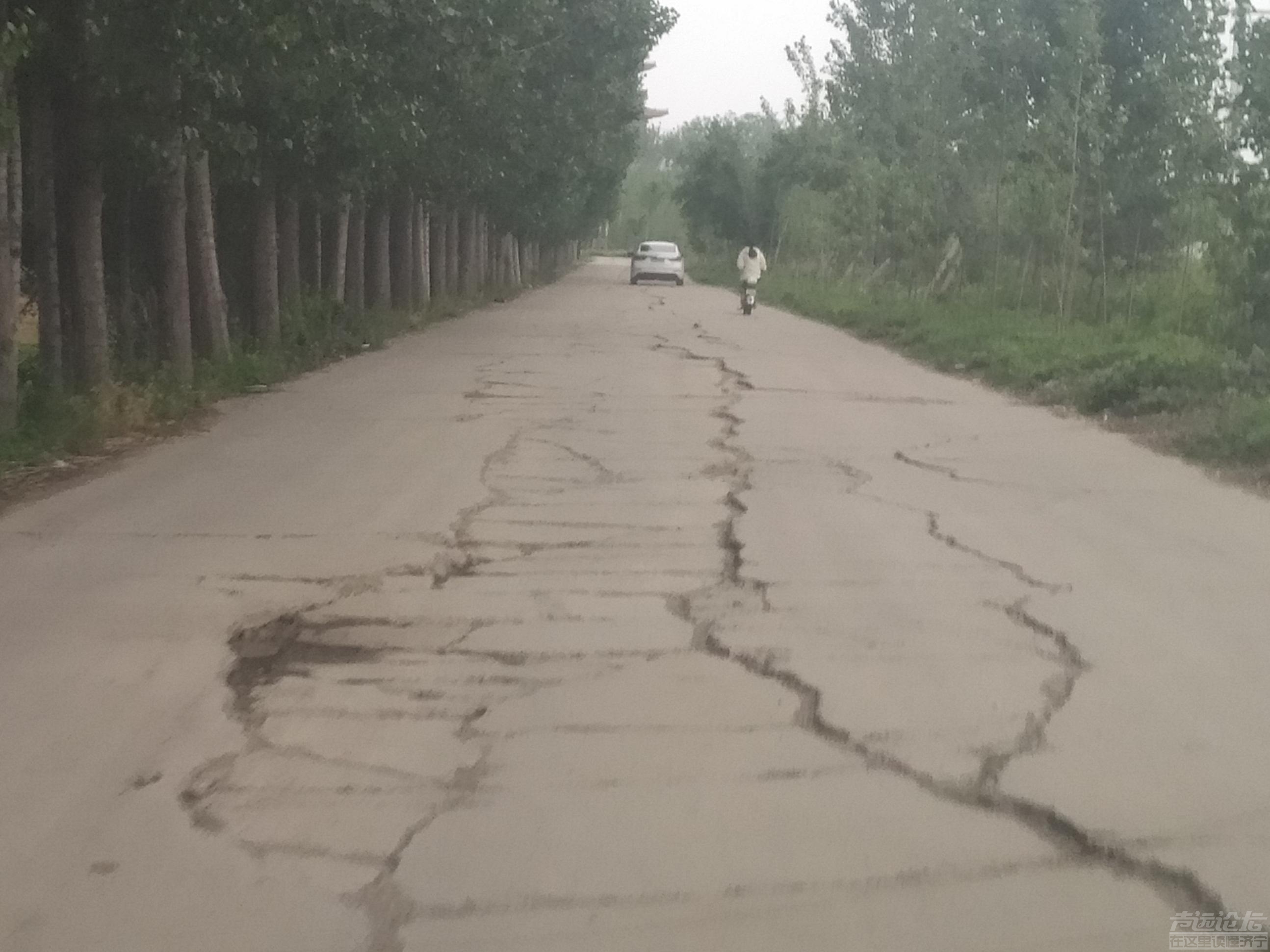 凤凰台村东的路何时维修，去往城区的道路，长度大约200米，年久失修，路面坑洼不平！-5.jpg