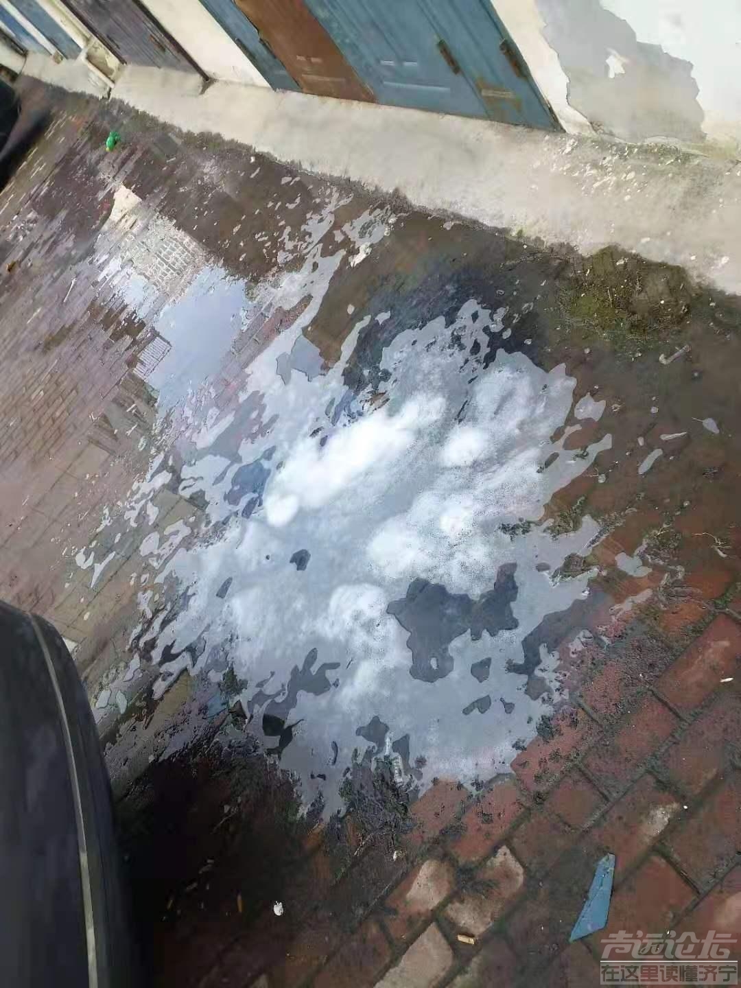 苏州东苑小区的物业管理差，导致小区业主苦不堪言，矛盾多发，求监管部门解决-1.jpg