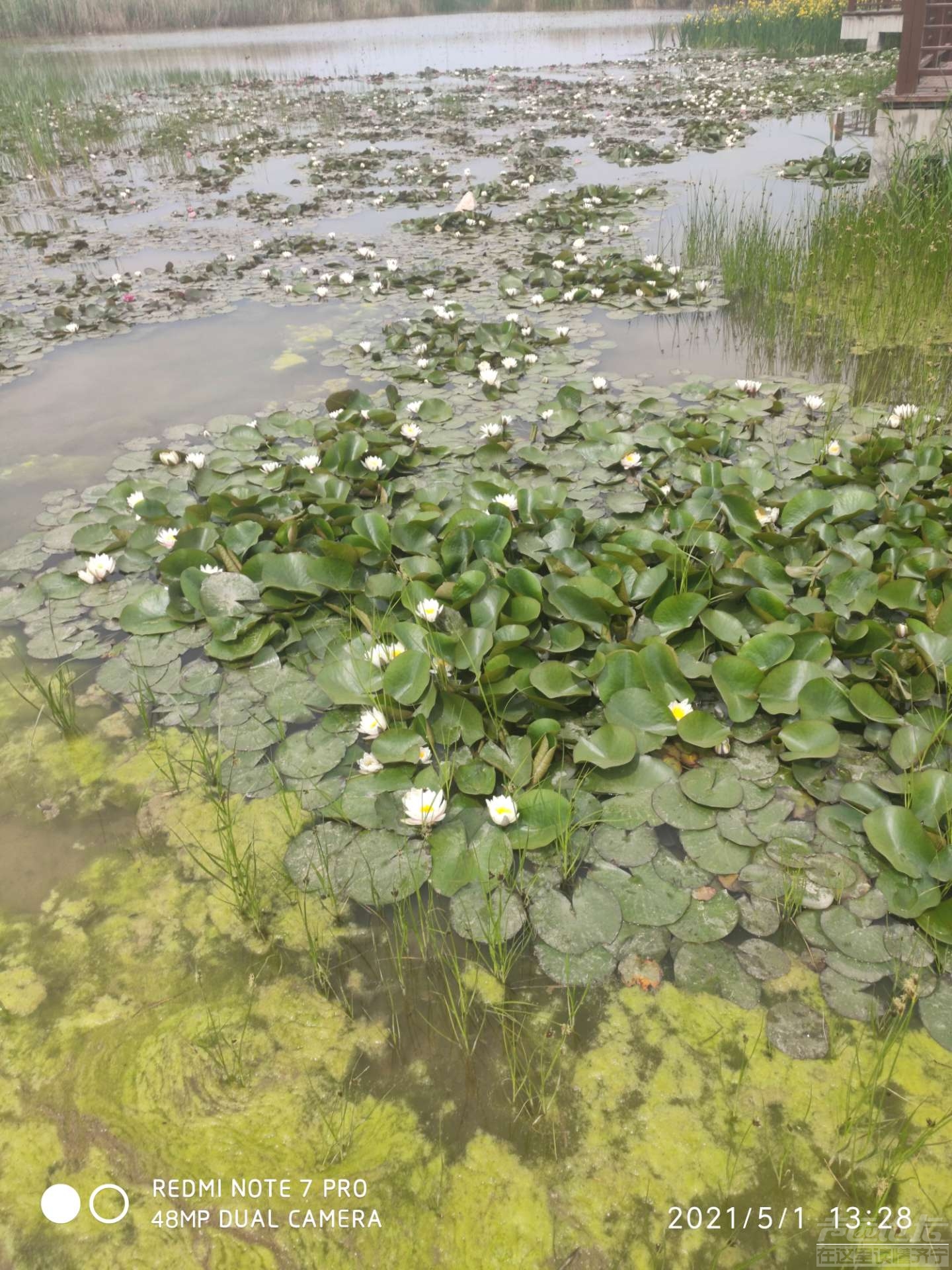 常在河边走，哪有不湿鞋！-1.jpg