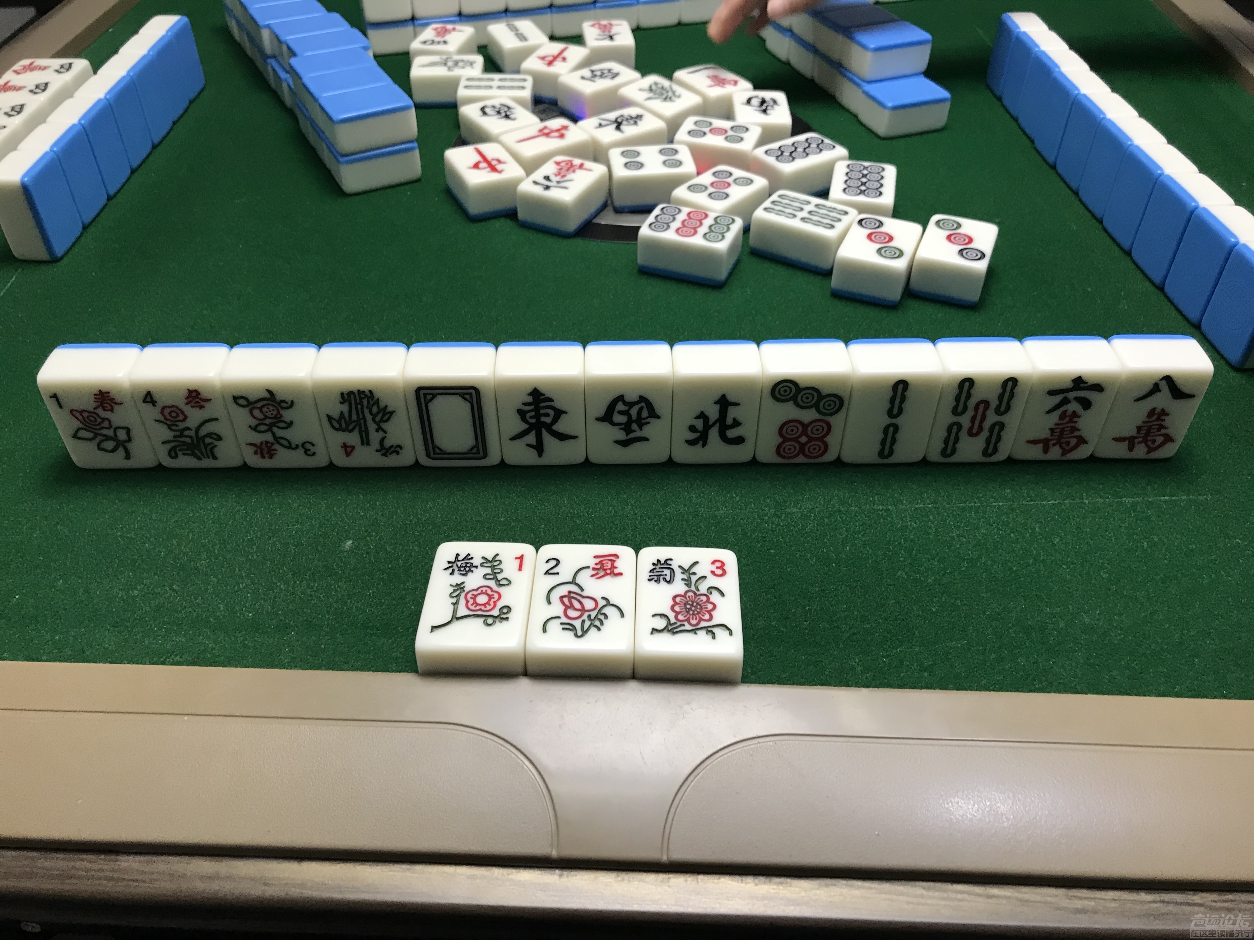 三花的不靠，好嗨啊-1.jpg