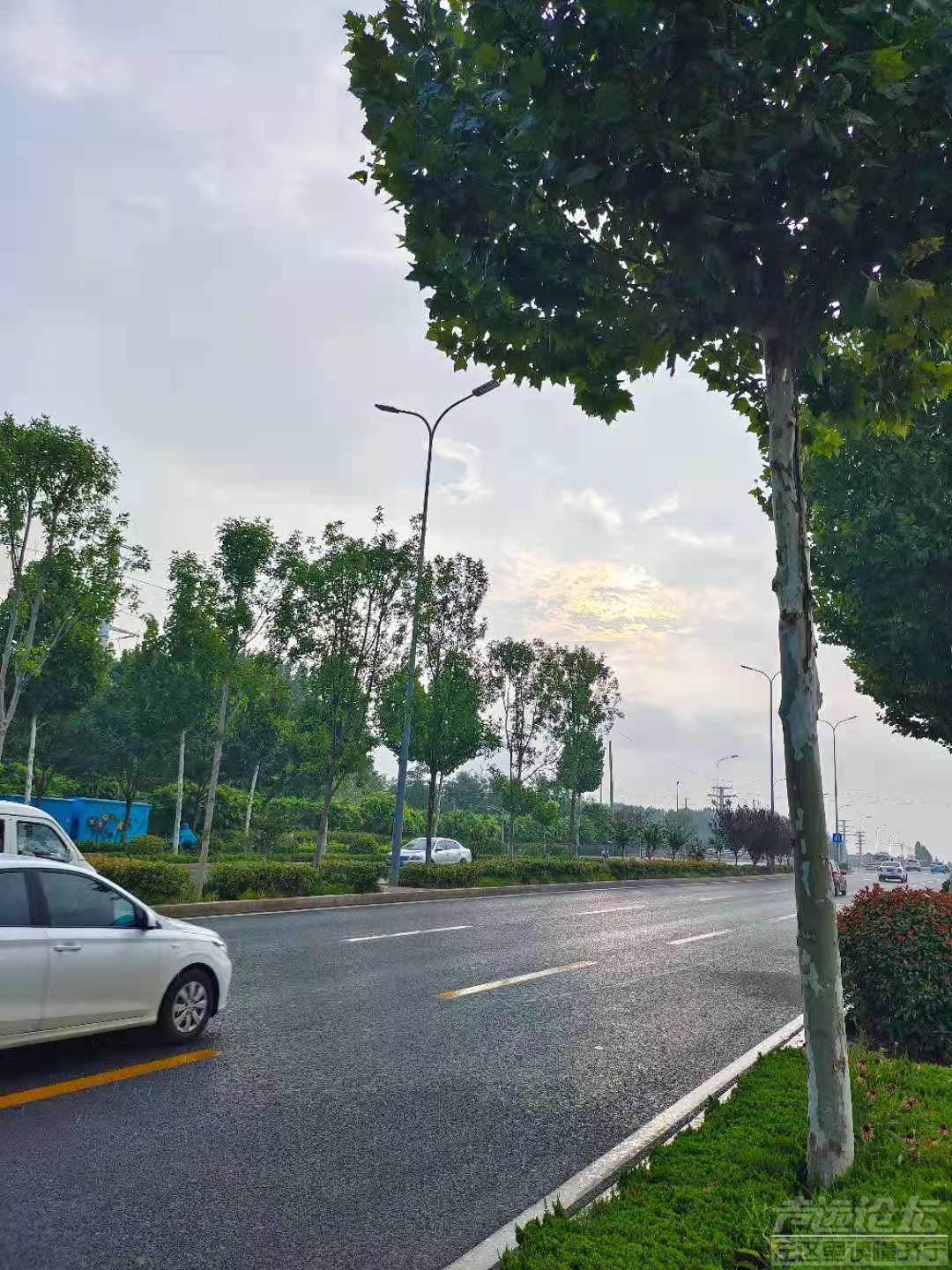 太阳雨.jpg