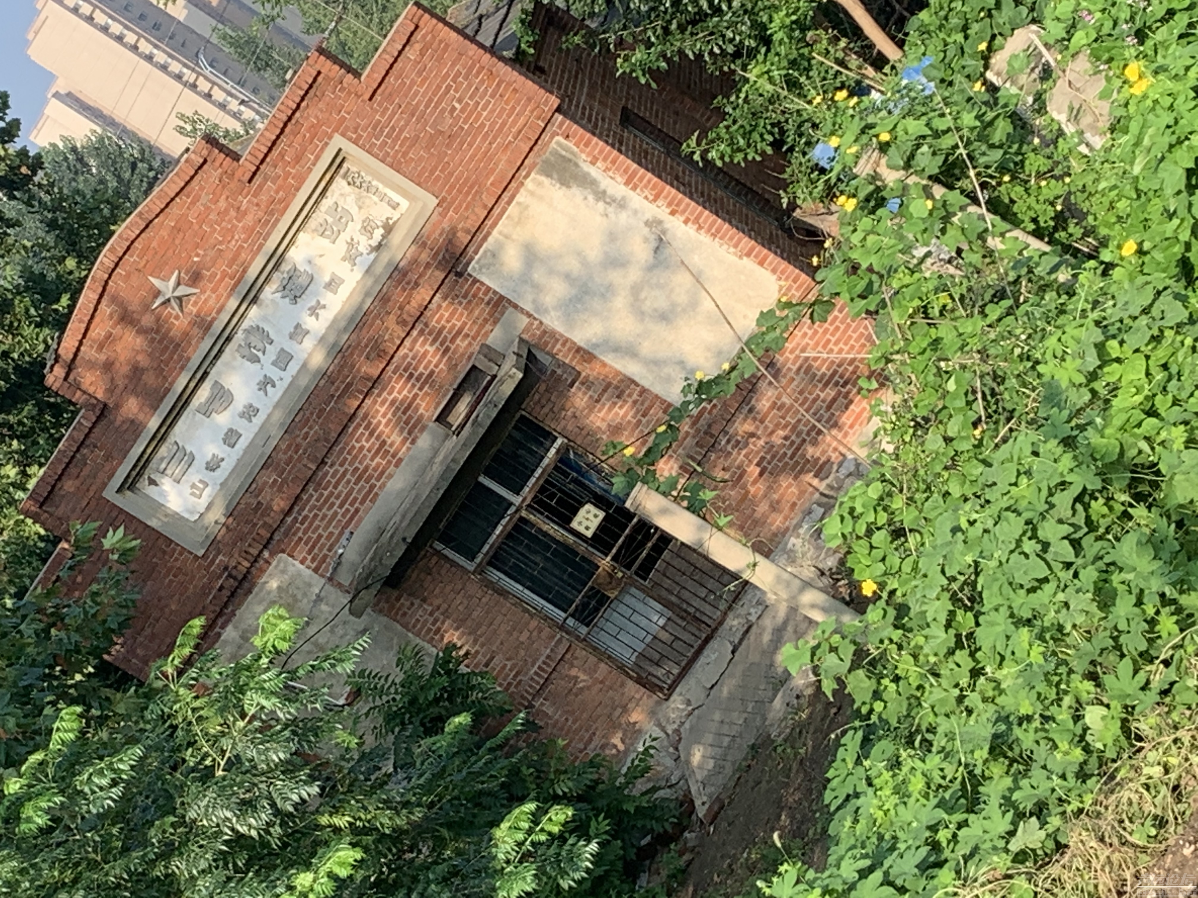 今天早晨上北湖考察房产 还是老房子有味道。-1.jpg