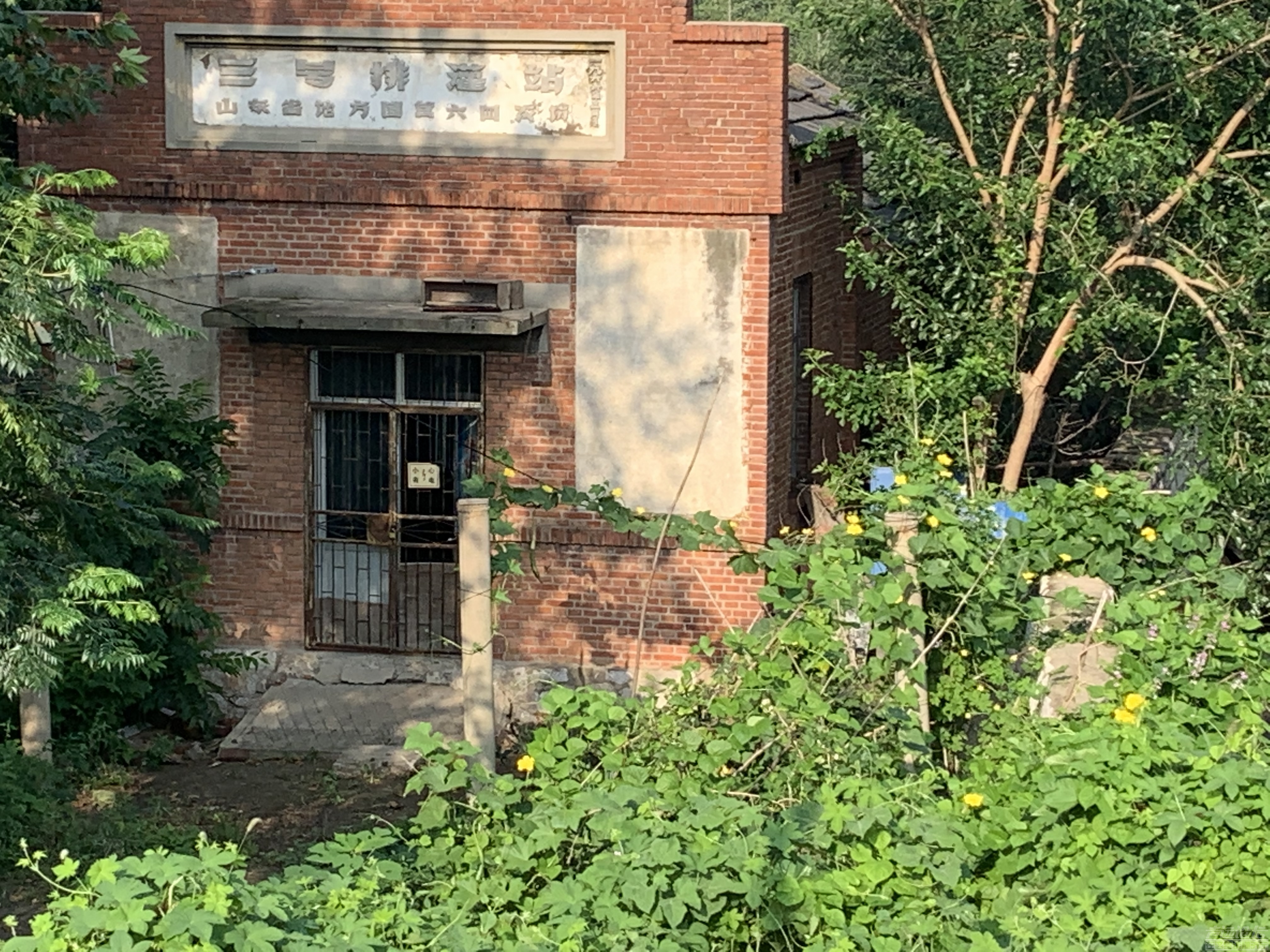 今天早晨上北湖考察房产 还是老房子有味道。-3.jpg