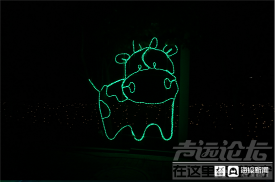 济宁首届四季牡丹园夜游季游玩攻略出炉-2.png